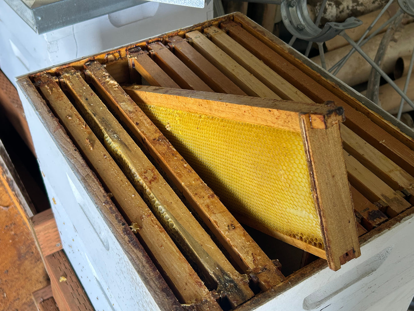 Honey